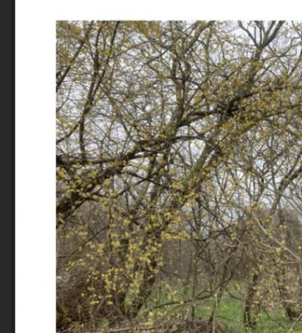 terreno agricolo in vendita a Trieste in zona Opicina