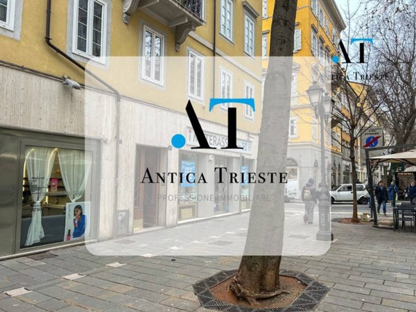 appartamento in vendita a Trieste