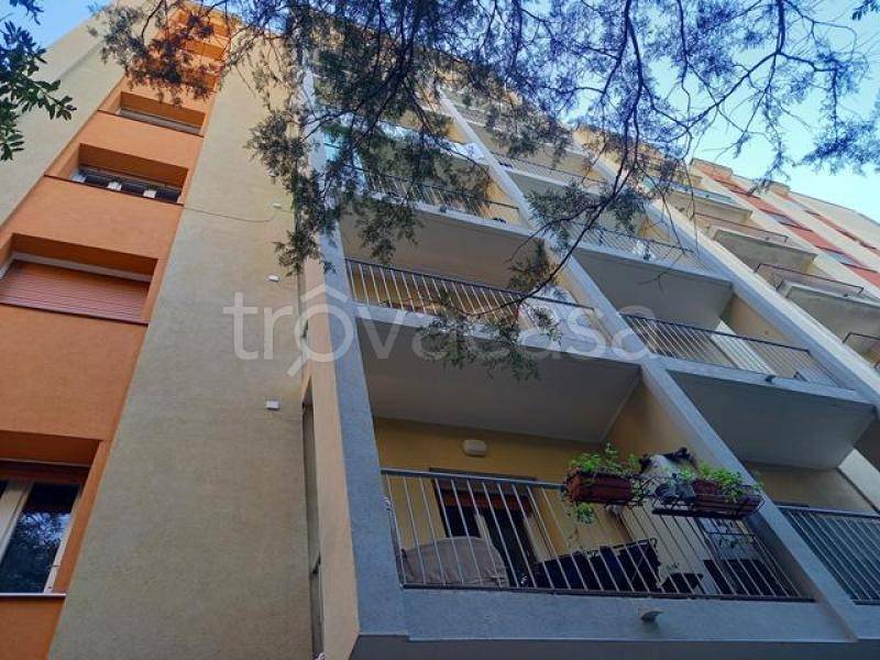 appartamento in vendita a Trieste in zona Cologna