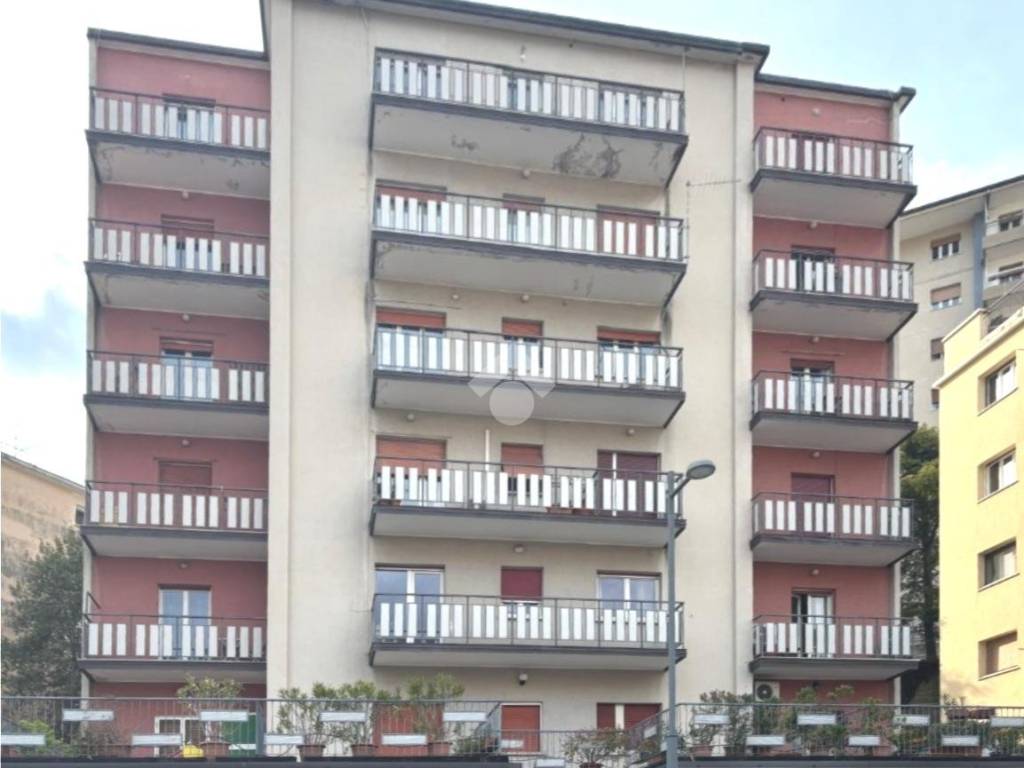 appartamento in vendita a Trieste in zona Cologna