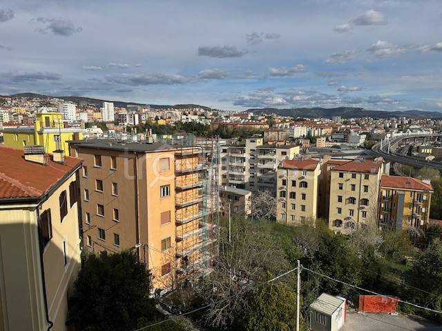 appartamento in vendita a Trieste in zona Campi Elisi