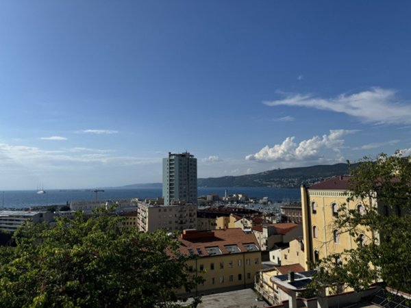 appartamento in vendita a Trieste