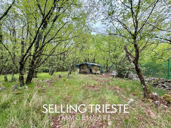 terreno agricolo in vendita a Trieste in zona Basovizza