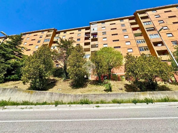 appartamento in vendita a Trieste