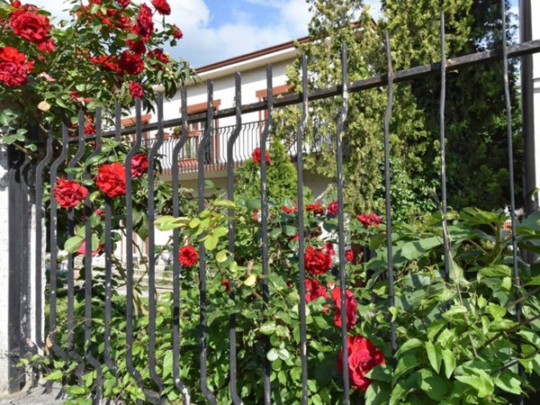 appartamento in vendita a Trieste in zona Borgo San Sergio