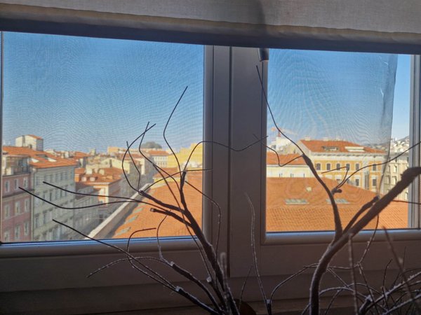 appartamento in vendita a Trieste