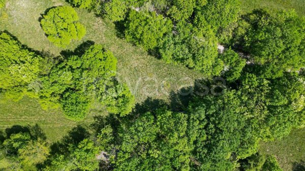 terreno agricolo in vendita a Trieste in zona Santa Croce