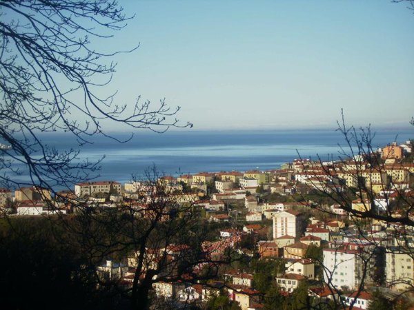 casa indipendente in vendita a Trieste
