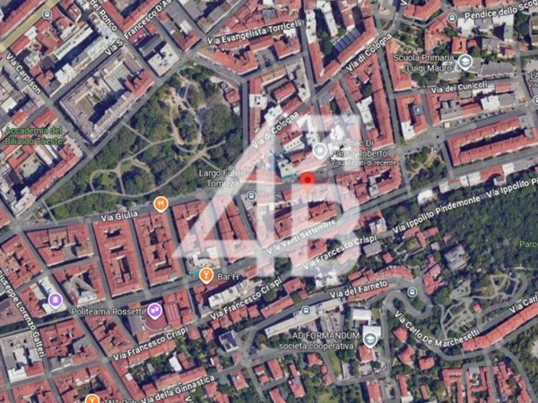 negozio in vendita a Trieste