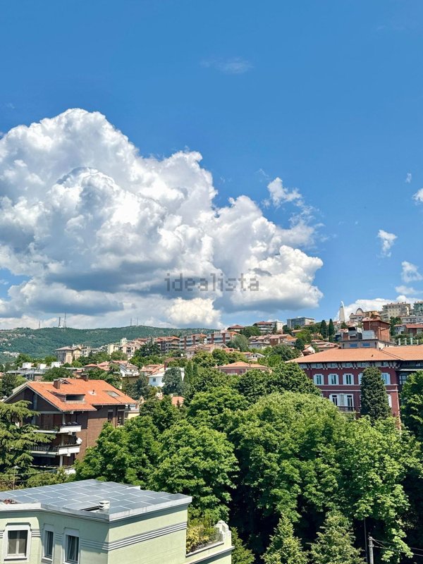 appartamento in vendita a Trieste in zona Barriera vecchia