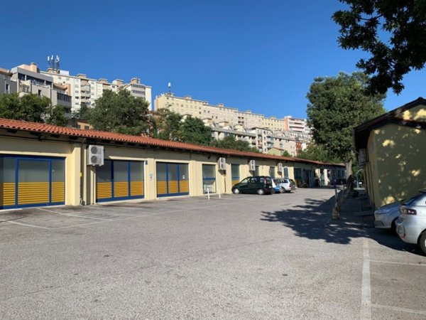 negozio in vendita a Trieste