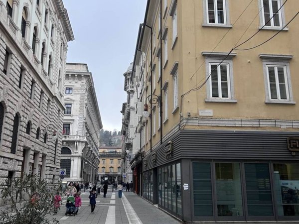 attico in vendita a Trieste in zona Borgo Teresiano