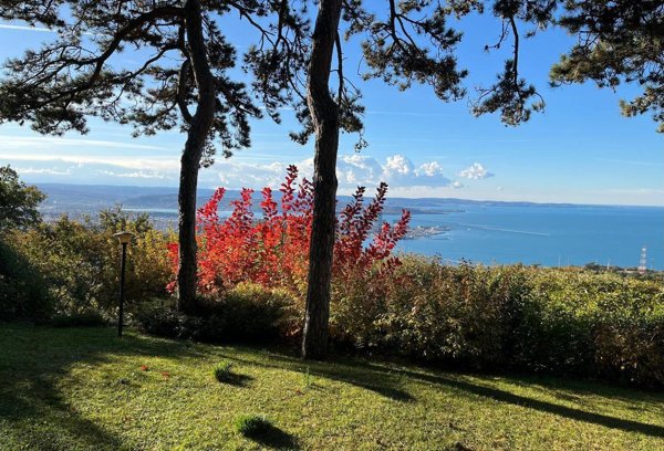 casa indipendente in vendita a Trieste in zona Opicina
