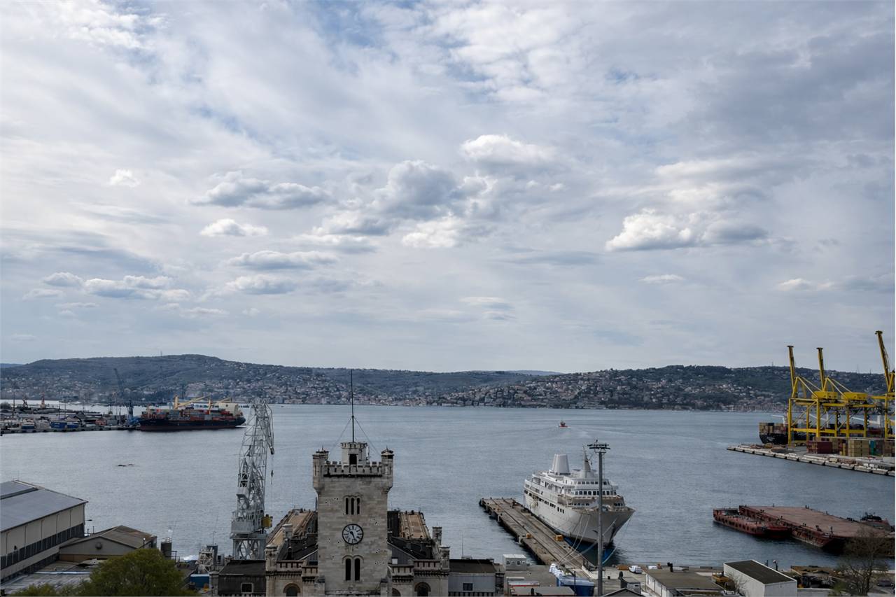 appartamento in vendita a Trieste in zona Campi Elisi