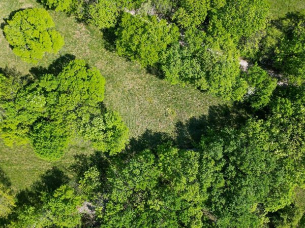 terreno agricolo in vendita a Trieste in zona Santa Croce