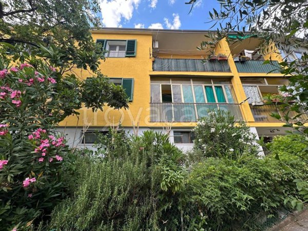 appartamento in vendita a Trieste in zona Borgo San Sergio