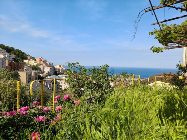 casa indipendente in vendita a Trieste in zona Roiano
