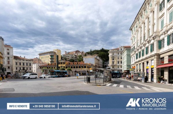 negozio in vendita a Trieste