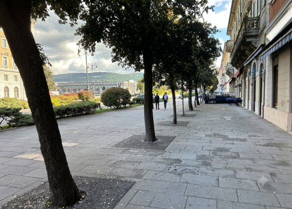 casa semindipendente in vendita a Trieste