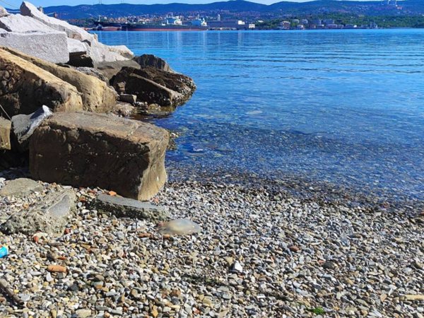 appartamento in vendita a Trieste