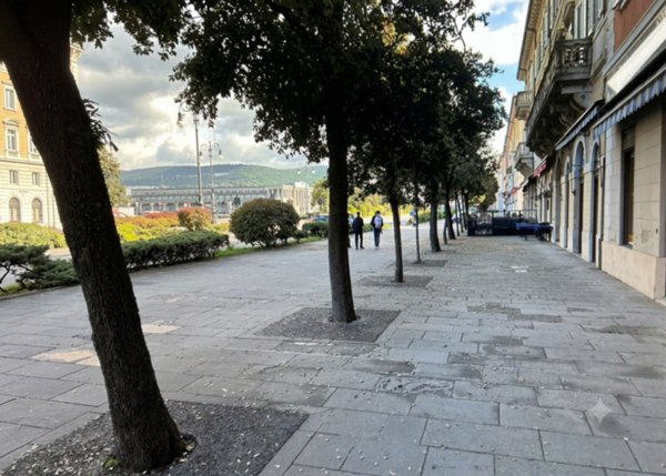 casa semindipendente in vendita a Trieste in zona Barriera vecchia