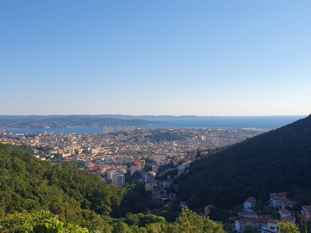 appartamento in vendita a Trieste in zona Cologna