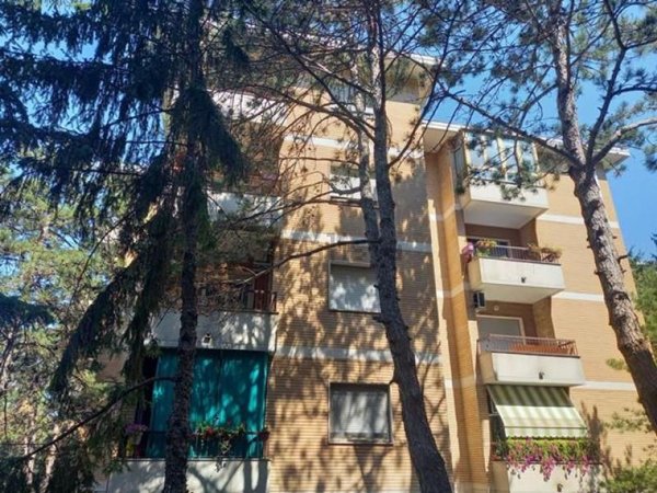 appartamento in vendita a Trieste in zona Guardiella