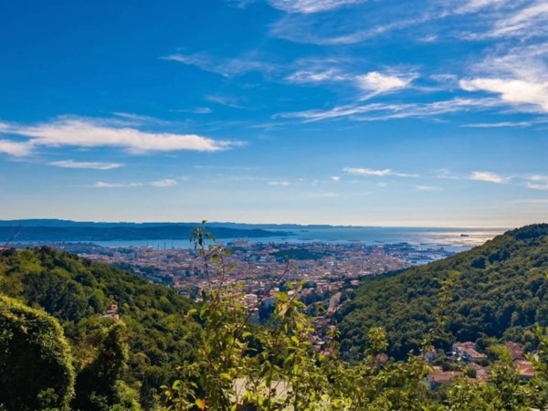 appartamento in vendita a Trieste in zona Cologna