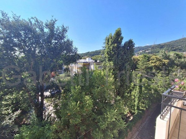 appartamento in vendita a Trieste in zona Guardiella