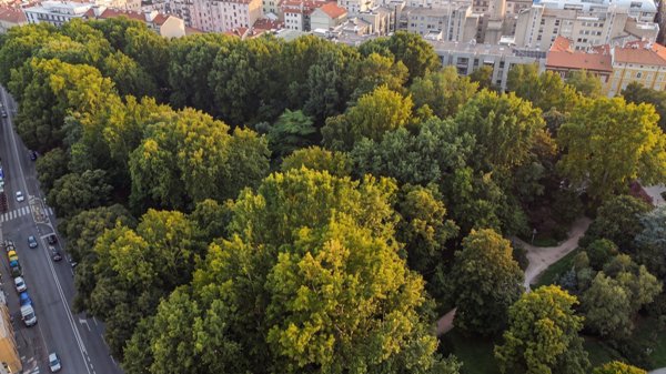 appartamento in vendita a Trieste in zona Città Nuova