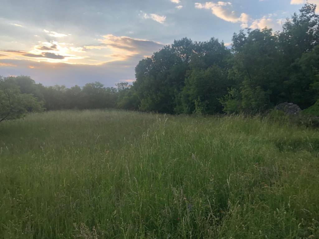 terreno in vendita a Trieste