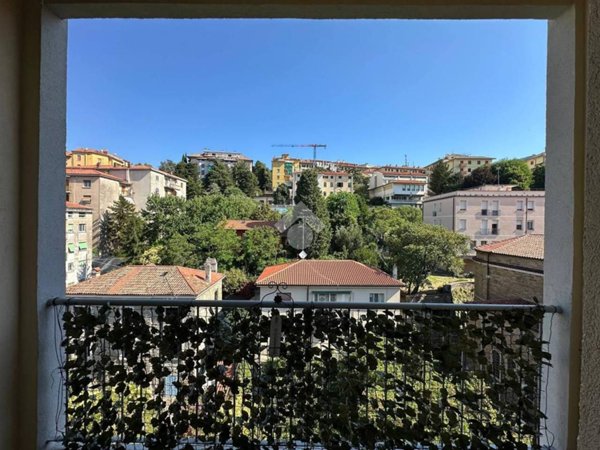appartamento in vendita a Trieste in zona Cologna