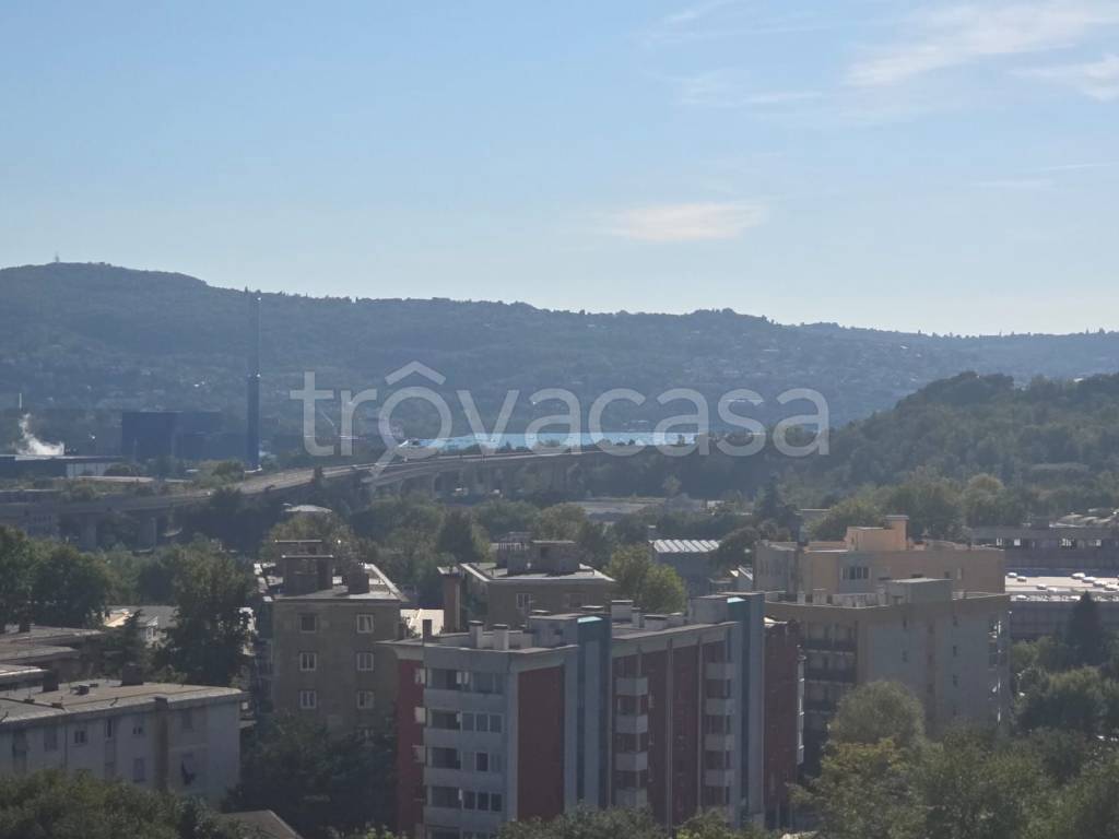 appartamento in vendita a Trieste