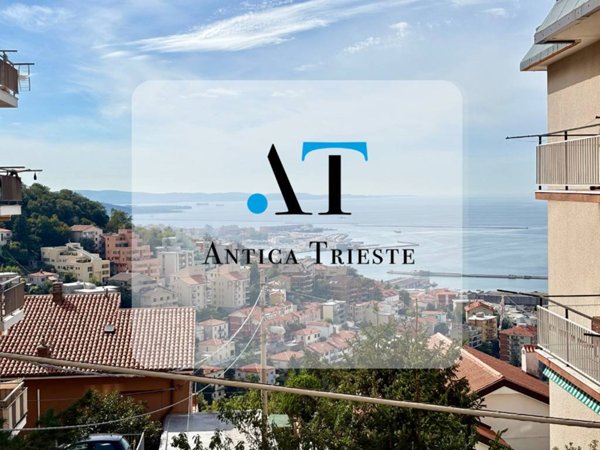 immagine annuncio 0 di 15