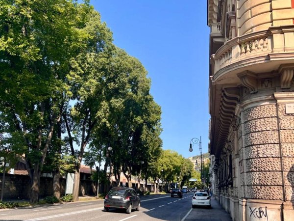 box auto in vendita a Trieste in zona Roiano