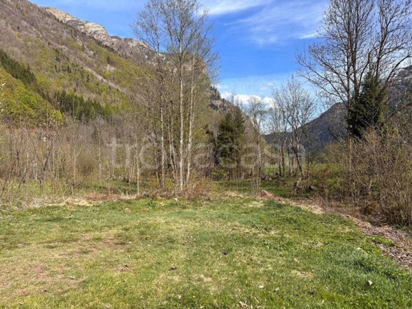 terreno agricolo in vendita ad Alagna Valsesia in zona Riva Valdobbia