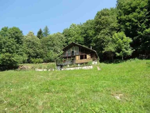 esavano in vendita ad Alagna Valsesia