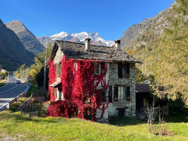 casa indipendente in vendita ad Alagna Valsesia in zona Wittwosma
