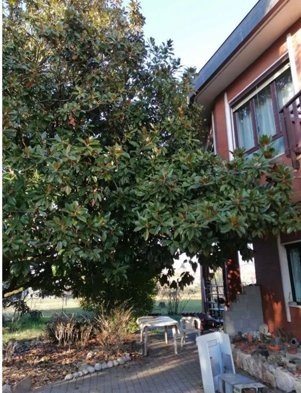 casa indipendente in vendita ad Albano Vercellese