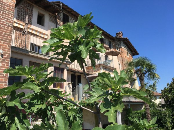 villa in vendita a Balocco