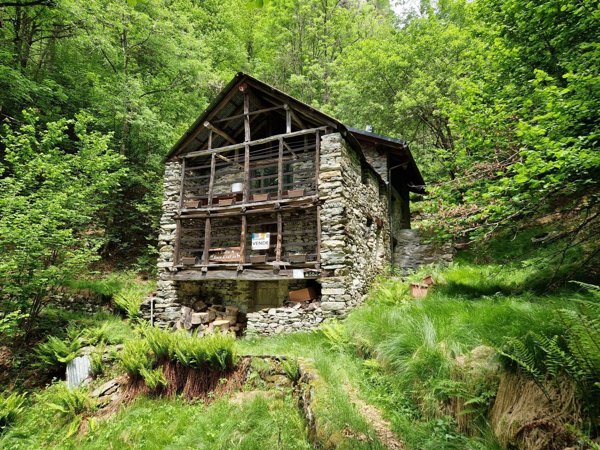quadrivano in vendita a Boccioleto in zona Fervento