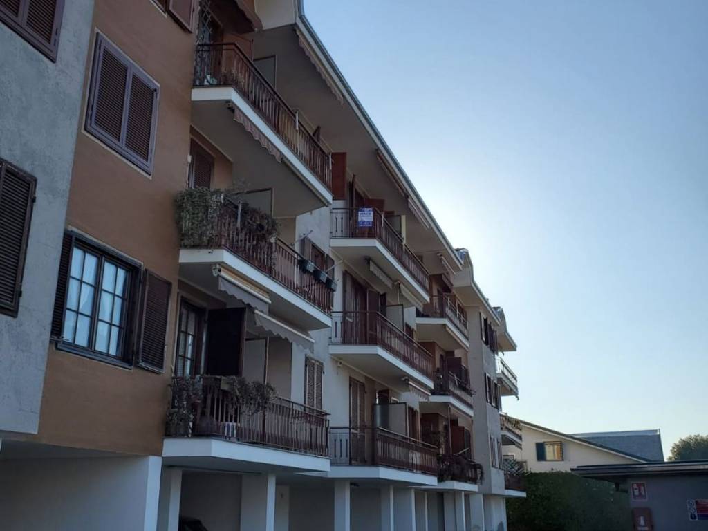immagine annuncio 0 di 15