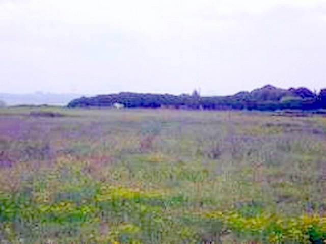 terreno agricolo in vendita a Borgo Vercelli