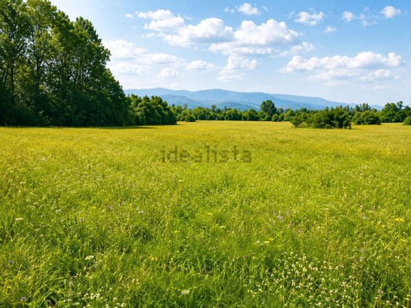 terreno edificabile in vendita a Borgo Vercelli