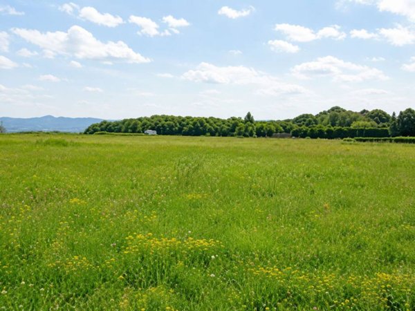 terreno agricolo in vendita a Borgo Vercelli