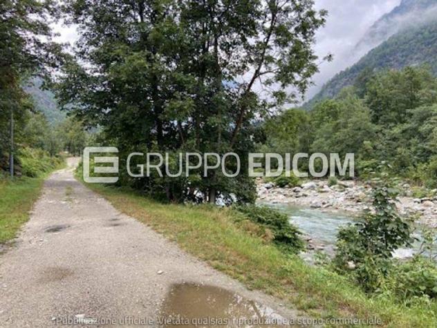 terreno agricolo in vendita a Campertogno