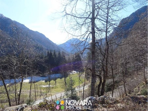 appartamento in vendita a Campertogno