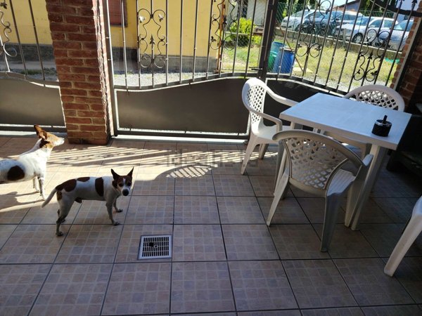 casa indipendente in vendita a Carisio