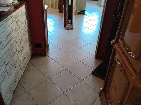 casa indipendente in vendita a Carisio