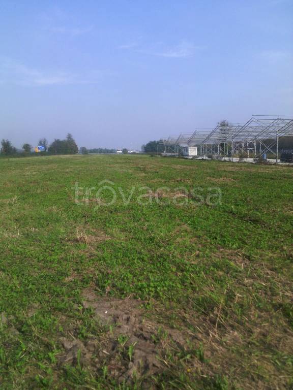 terreno agricolo in vendita a Cigliano